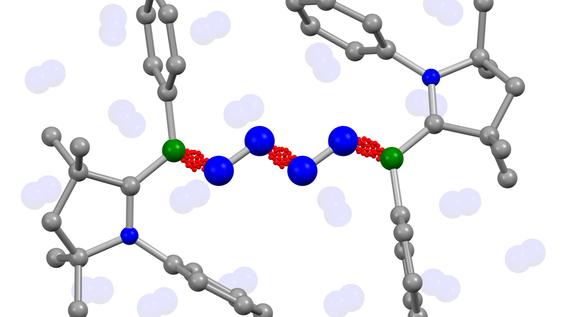 Im Zentrum sind die mit roten Verknüpfungen dargestellten und miteinander gekoppelten Stickstoff-Moleküle.